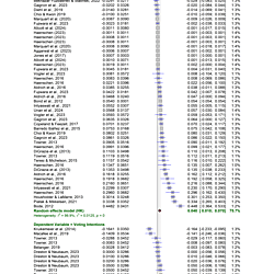 Project _Meta analysis_Voting_03092024