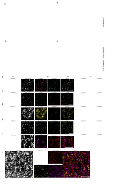 TDM Mathematical model