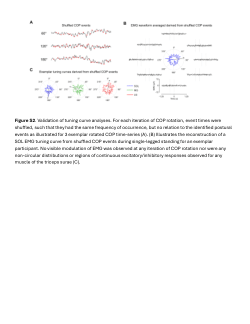 Supplementary Figures and Table for "Independent directional tuning of the human triceps surae muscles during standing postural control"