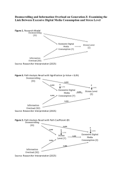 <b>Doomscrolling and Information Overload on Generation Z: Examining the Link Between Excessive Digital Media Consumption and Stress Level</b>