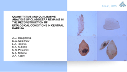QUANTITATIVE AND QUALITATIVE ANALYSIS OF CLADOCERA REMAINS IN THE RECONSTRUCTION OF ECOLOGICAL CONDITIONS IN CENTRAL KARELIA