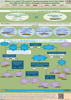 What's in a name? The need to develop grouping terms that reflect the different life history strategies of Aotearoa galaxiids