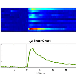 Ly et al 2025 Backwards conditioning dataset