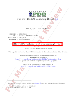 Source Data for SSLinker Nanoparticles