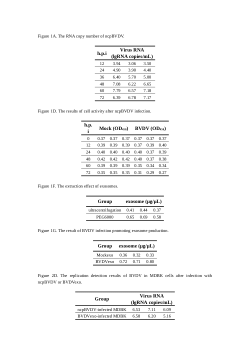 <b>Exosomal transmission of non-cytopathic bovine viral diarrhea virus facilitates persistent infection by evading antibody neutralization and antagonizing type I interferon response</b>