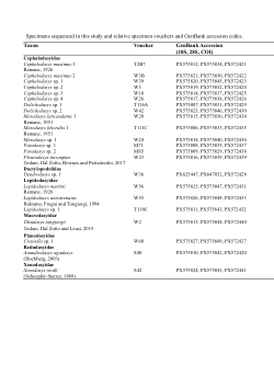 Dataset of paper "Improved taxonomic and gene sampling advance the knowledge of deep relationships within Macrodasyida (Gastrotricha)", DOI: cla.70013