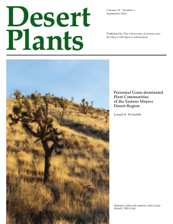 McAuliffe, J.R. 2016. Perennial grass-dominated plant communities of the eastern Mojave Desert region. <i>Desert Plants </i>32(1), pp. 1-90.