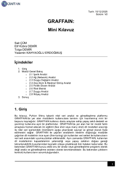 GRAFFAIN V2- Mini Kılavuz - TR