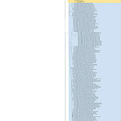 <b>Genetic evolution</b><b> and phylodynamic</b><b> of the 2.3.4.4b clade of H5N1 AIVs from 2021 to 2024: spatiotemporal spread and pathogenicity of Chinese isolates</b>
