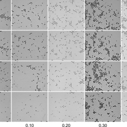 Disorder-controlled saturation hysteresis in cyclic injection: Linking pore-scale invasion to upscaled parameters for hydrogen storage