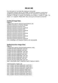 Competition between glycine and GABA<sub>A</sub> receptors for gephyrin controls their equilibrium populations at inhibitory synapses