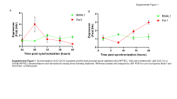 Supplemental figures