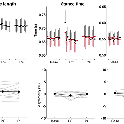 Supplemental figures for "<b>Weight-bearing symmetry changes after asymmetric surface stiffness walking</b>"