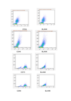 Flow Cytometry