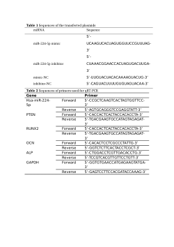 pcr Sequences