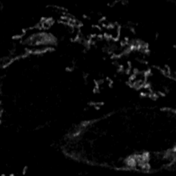 Figure 5. F. Images Folder