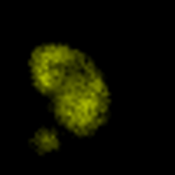 Figure 5H and S5. Live imaging of <i>T. gondii</i> DNA in IFNγ and TLR2 primed BM-MoDCs.