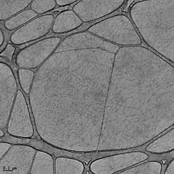 Raw data for "Prediction of Rheological Properties via Structure Elucidation of Solvated Hydrogels"