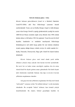 Küvette Bulunan Günce: Kitap Değerlendirmesi