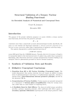 Structural Validation of a Ternary Nuclear Binding Functional