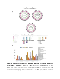 Multidrug-Resistant <i>Klebsiella pneumoniae</i> in Bovine Mastitis