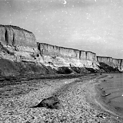 Localities of Quaternary mollusk shells from Black Sea region collected by N. N. Trashchuk