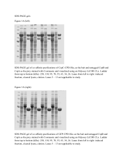 <b>The CspC:CspA heterodimer transduces germinant and co-germinant signals during </b><b><i>Clostridioides difficile</i></b><b> spore germination.</b>
