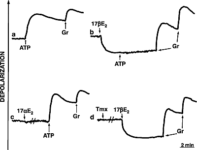 Curiously sperm plasma membrane curious topic Sperm plasma membrane
