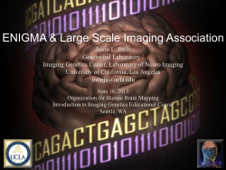 ENIGMA & Large Scale Imaging Association