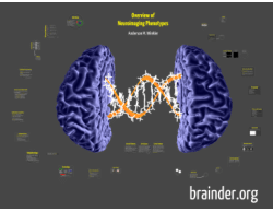 Overview of Neuroimaging Phenotypes