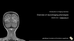 Overview of neuroimaging phenotypes