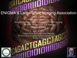 ENIGMA & Large Scale Imaging Association