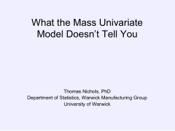 What the Mass Univariate Model Doesn't Tell You