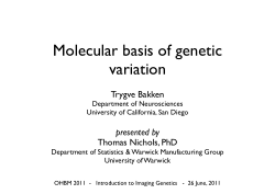 Molecular basis of genetic variation