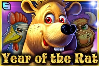 Year Of The Rat