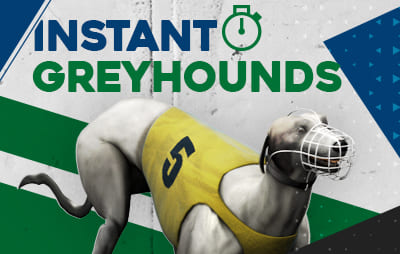 Instant Greyhounds