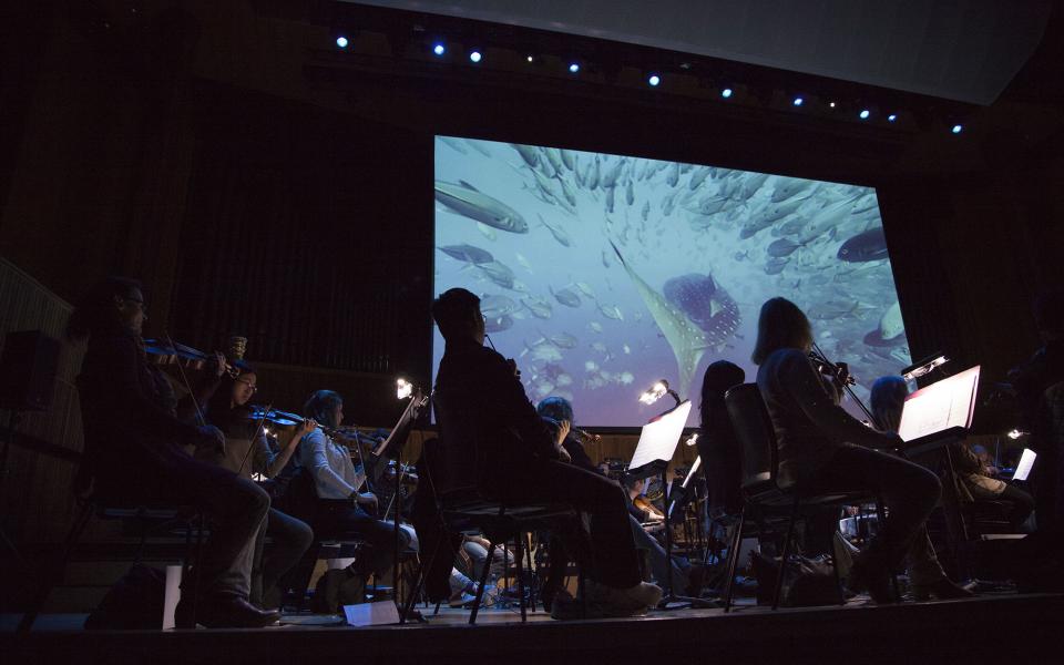 Blue Planet, 2015, credit Marina Vidor, Philharmonia Blue Planet live in concert at Royal Festival Hall (2015)