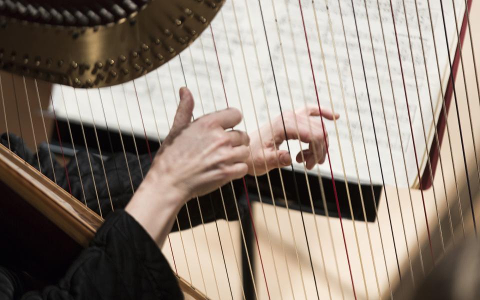 hilharmonia Chamber Players, credit Benjamin Ealovega A musician playing the harp
