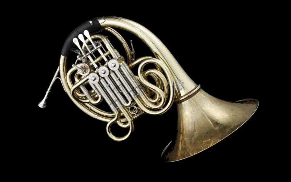 11_horn_flat Horn