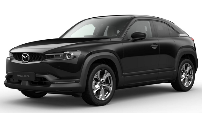 Peinture Jet Black Mica