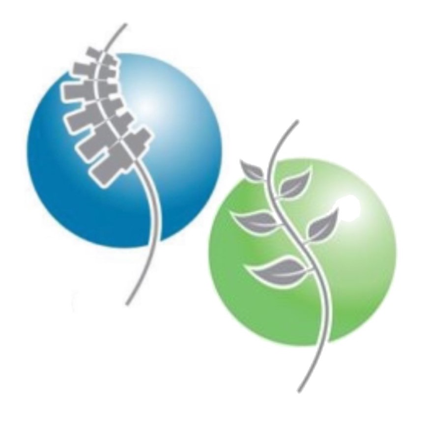 Spriggs Chiropractic & Nutrition