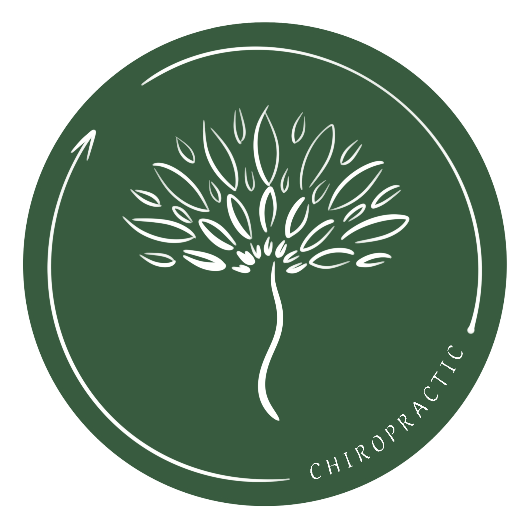 Centre Chiropratique Arnaud LEMETAYER