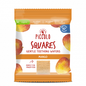 Product image for Squares Mango