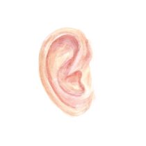 Image for Listen to your body