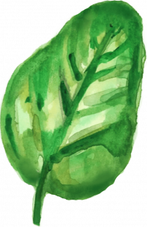 Image for