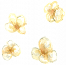 Image for