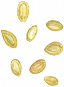 Image for