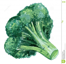Image for Fibre is important