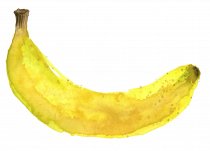Image for