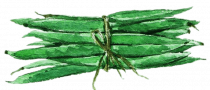 Image for